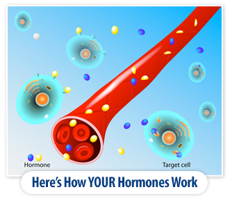 How Hormones Work